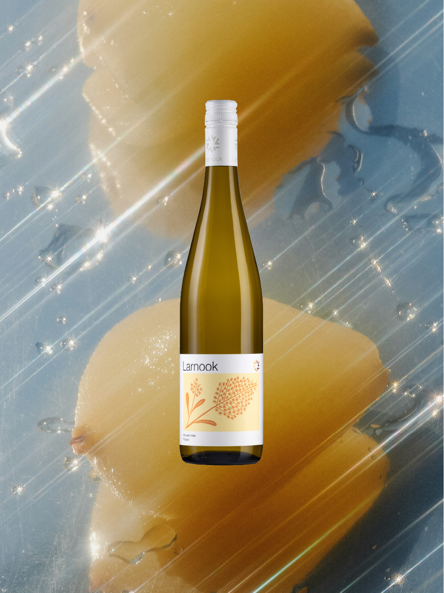Mercury Enters Sagittarius — 2025 LARNOOK Picpoul